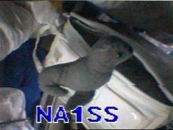 received on 31/03/2009 at JO10UX at 15:59UTC