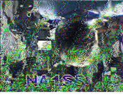 ISS over Perth,Western Australia.0928hrs.UTC.vk6co